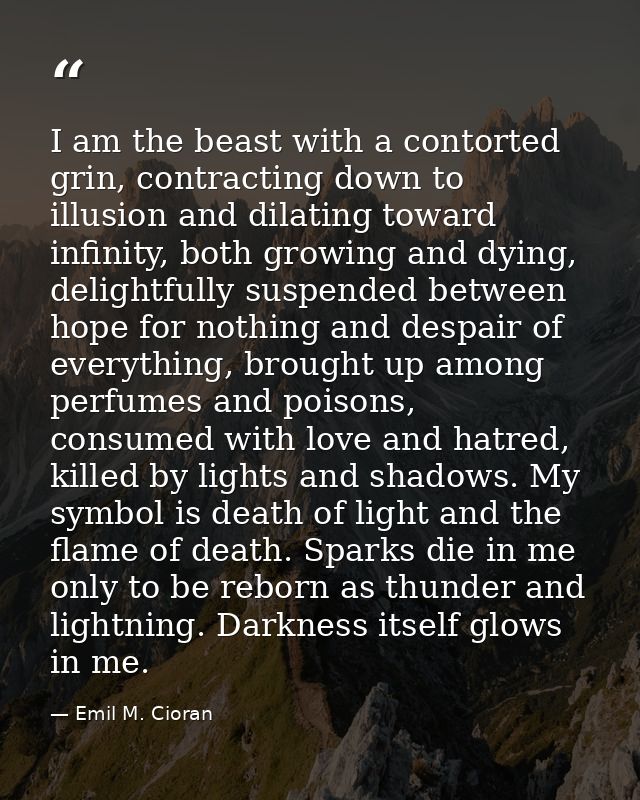 I am the beast with a contorted grin, contracting down to illusion and dilating toward infinity, both growing and dying, — Emil M. Cioran