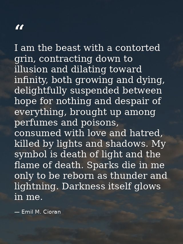 I am the beast with a contorted grin, contracting down to illusion and dilating toward infinity, both growing and dying, — Emil M. Cioran