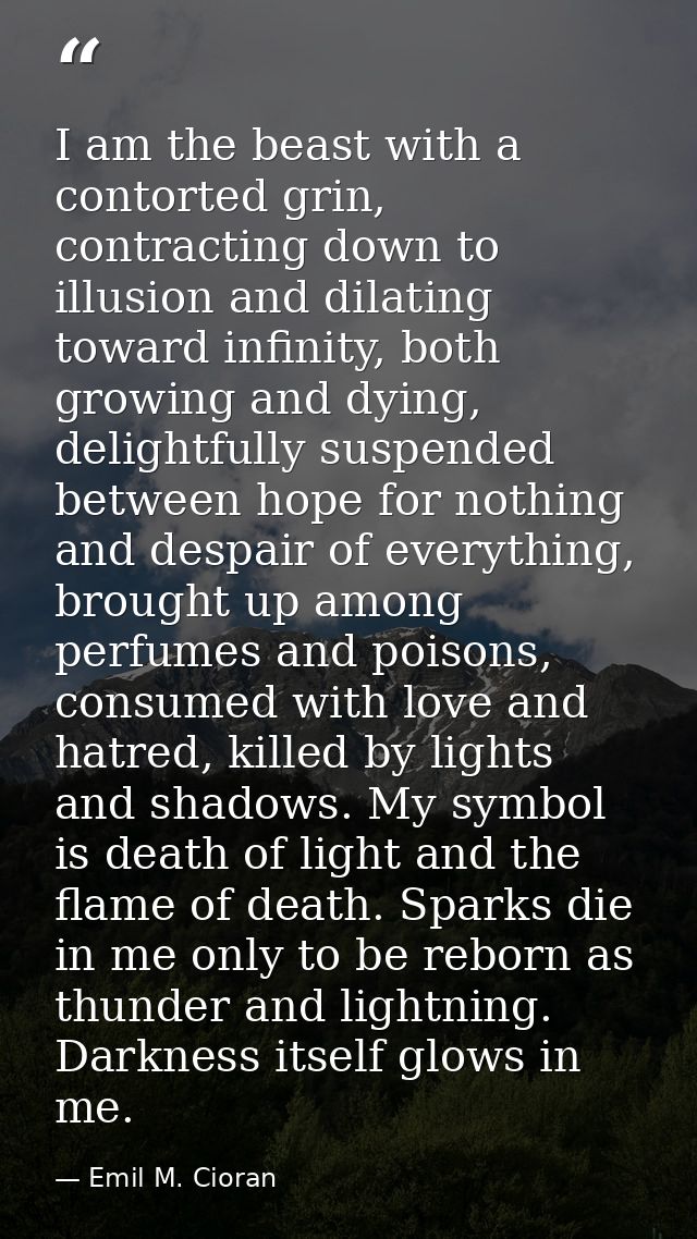 I am the beast with a contorted grin, contracting down to illusion and dilating toward infinity, both growing and dying, — Emil M. Cioran