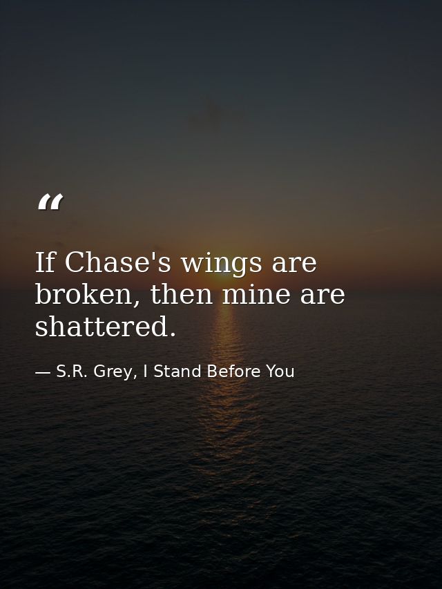 If Chase's wings are broken, then mine are shattered. — S.R. Grey, I Stand Before You
