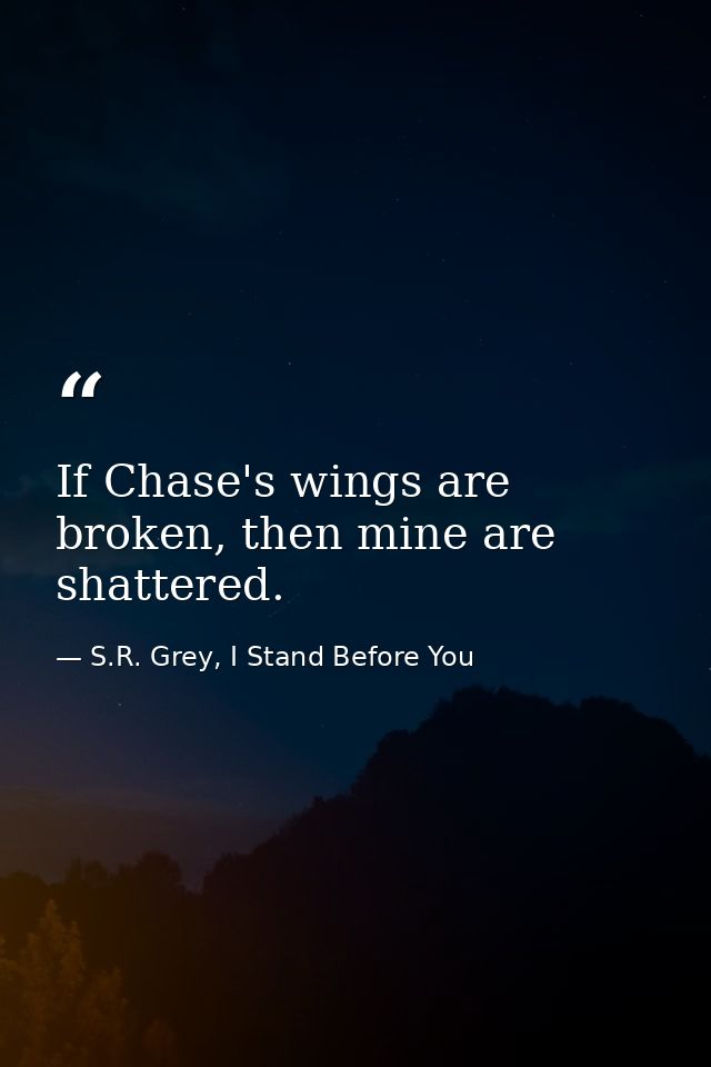 If Chase's wings are broken, then mine are shattered. — S.R. Grey, I Stand Before You