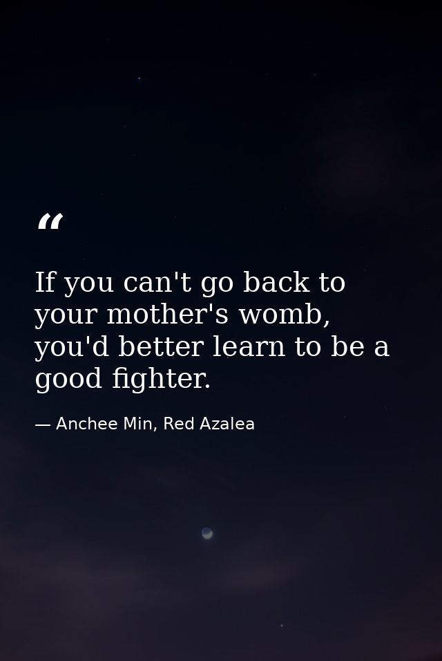 If you can't go back to your mother's womb, you'd better learn to be a good fighter. — Anchee Min, Red Azalea