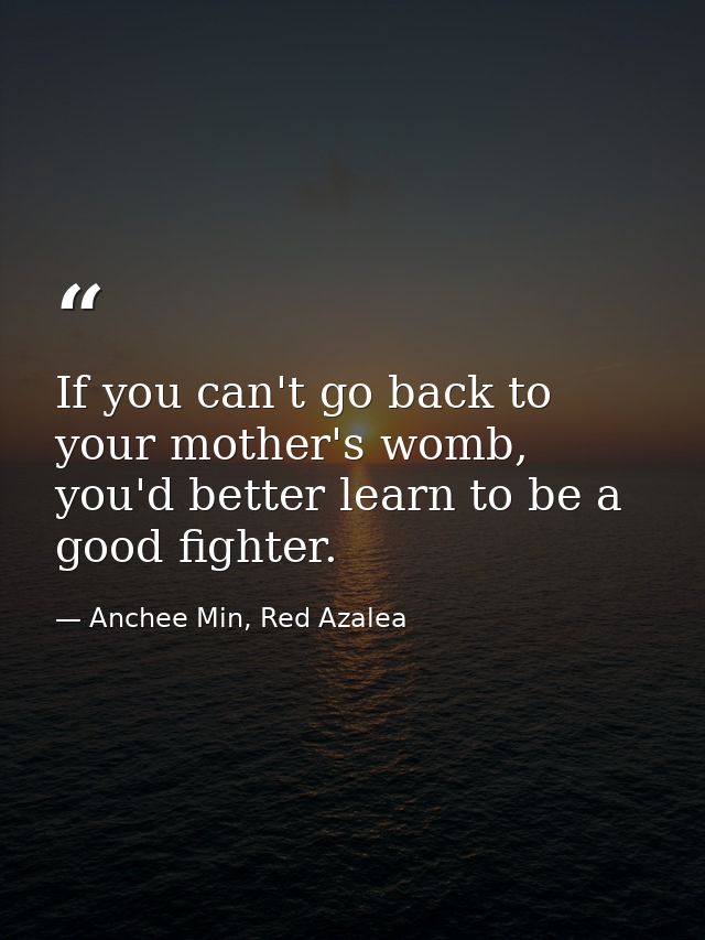 If you can't go back to your mother's womb, you'd better learn to be a good fighter. — Anchee Min, Red Azalea
