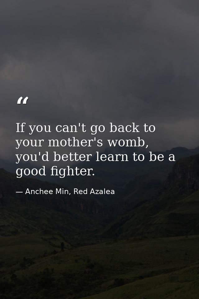 If you can't go back to your mother's womb, you'd better learn to be a good fighter. — Anchee Min, Red Azalea