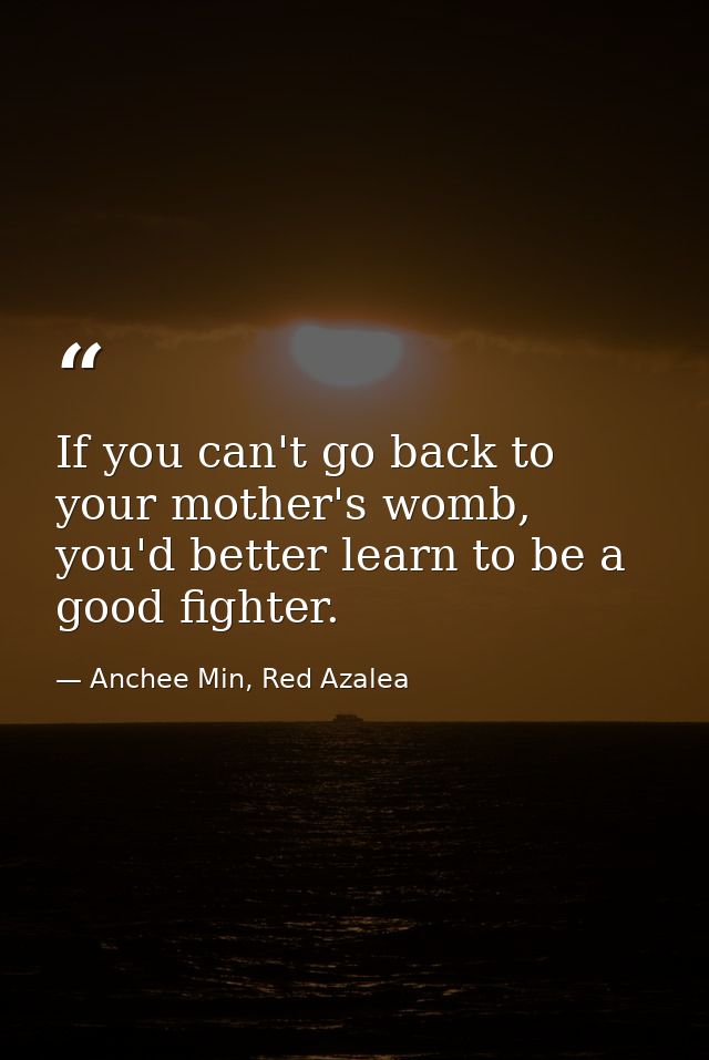 If you can't go back to your mother's womb, you'd better learn to be a good fighter. — Anchee Min, Red Azalea