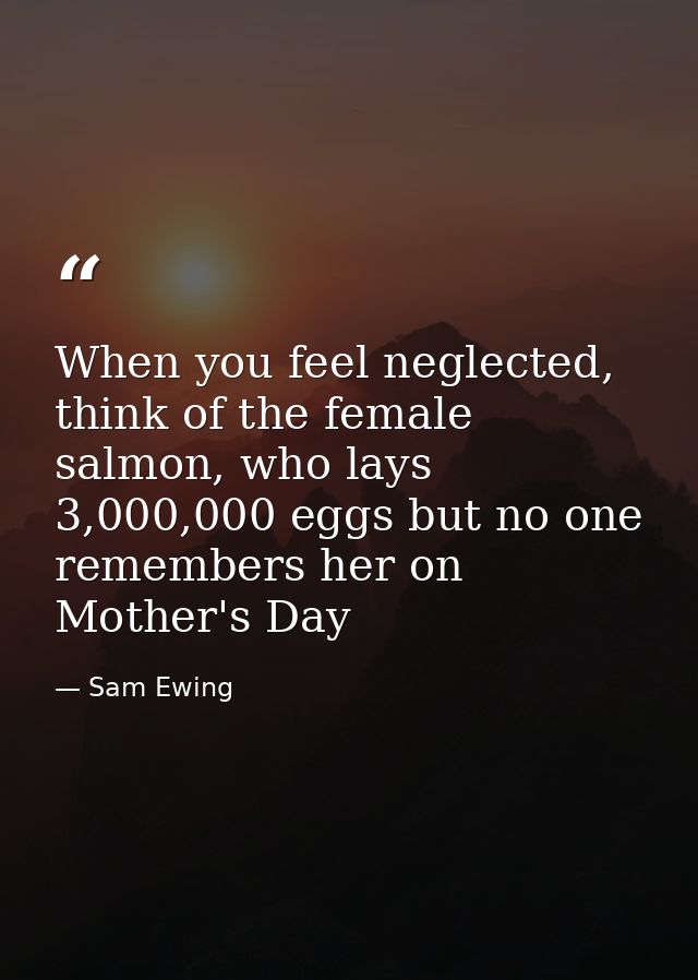 When you feel neglected, think of the female salmon, who lays 3,000,000 eggs but no one remembers her on Mother's Day — Sam Ewing