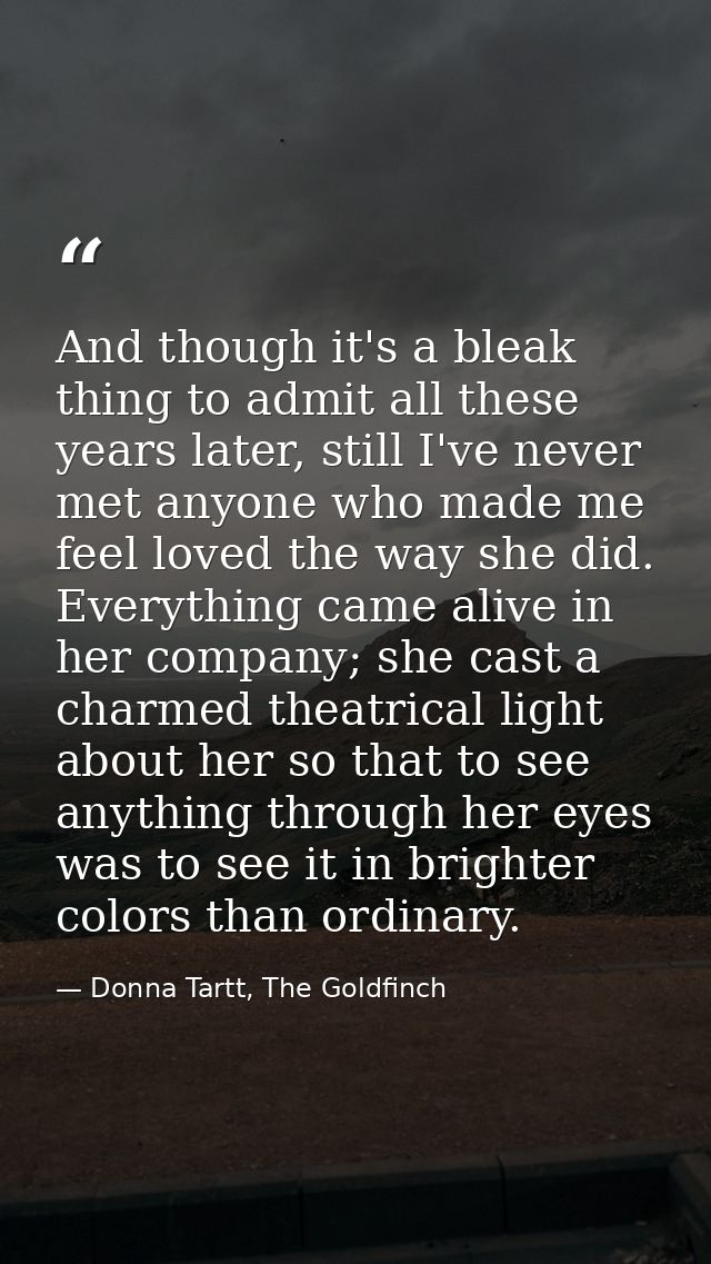 And though it's a bleak thing to admit all these years later, still I've never met anyone who made me feel loved the way — Donna Tartt, The Goldfinch