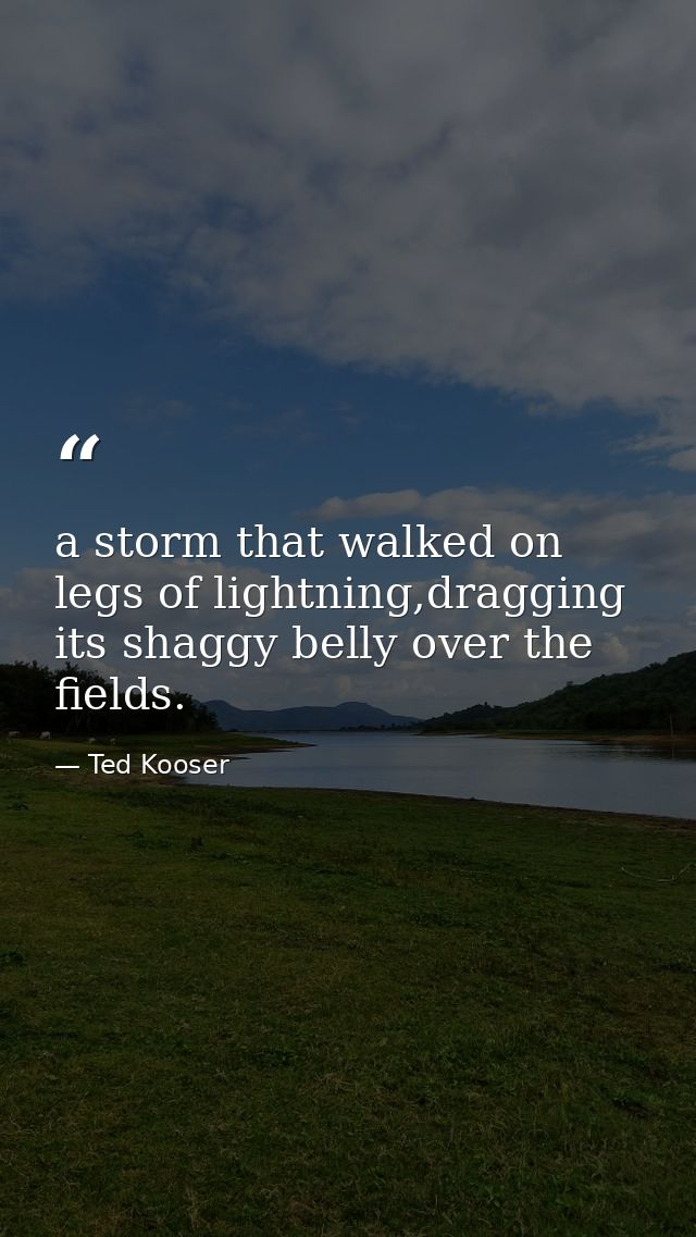 a storm that walked on legs of lightning,dragging its shaggy belly over the fields. — Ted Kooser