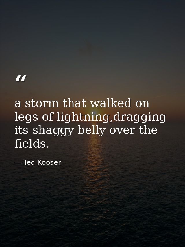 a storm that walked on legs of lightning,dragging its shaggy belly over the fields. — Ted Kooser