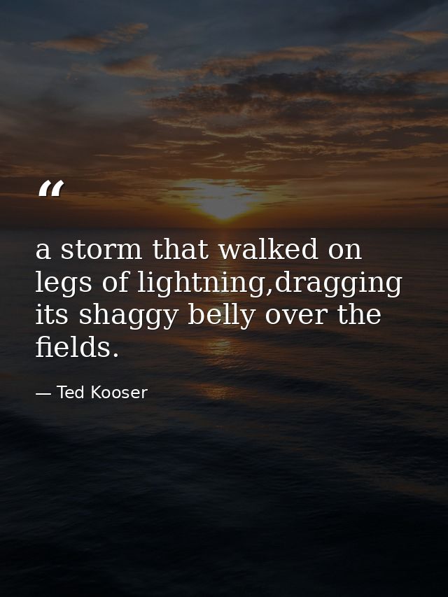 a storm that walked on legs of lightning,dragging its shaggy belly over the fields. — Ted Kooser