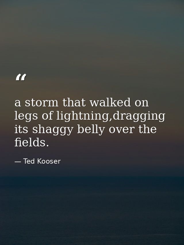 a storm that walked on legs of lightning,dragging its shaggy belly over the fields. — Ted Kooser