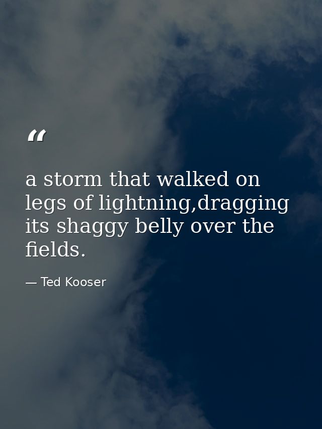 a storm that walked on legs of lightning,dragging its shaggy belly over the fields. — Ted Kooser