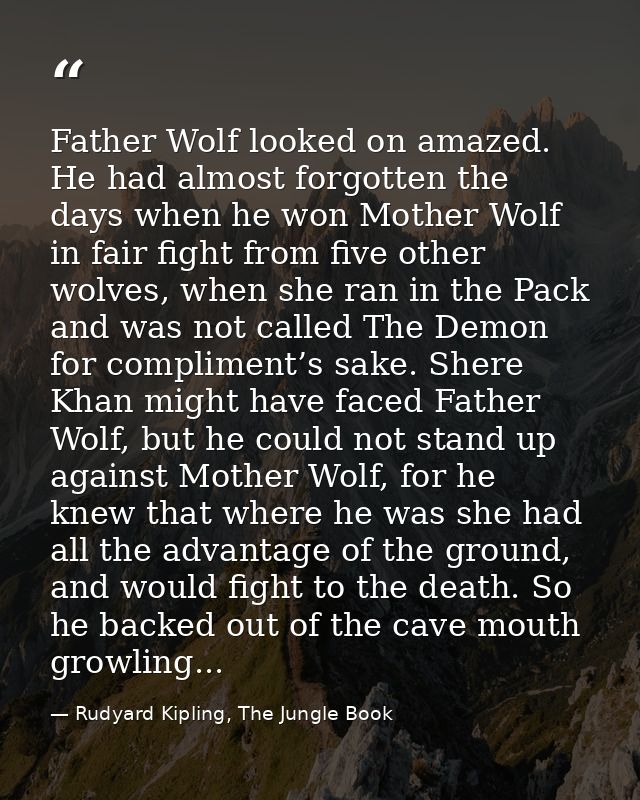 Father Wolf looked on amazed. He had almost forgotten the days when he won Mother Wolf in fair fight from five other wol — Rudyard Kipling, The Jungle Book
