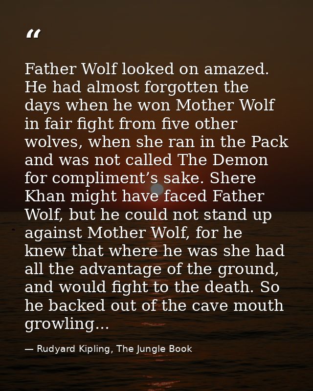 Father Wolf looked on amazed. He had almost forgotten the days when he won Mother Wolf in fair fight from five other wol — Rudyard Kipling, The Jungle Book