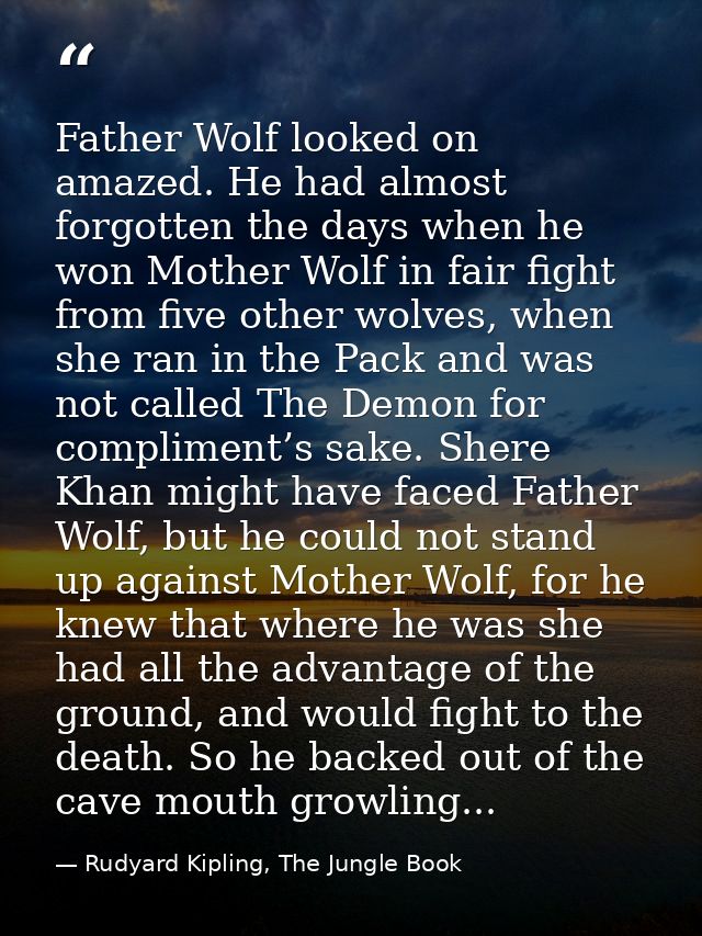 Father Wolf looked on amazed. He had almost forgotten the days when he won Mother Wolf in fair fight from five other wol — Rudyard Kipling, The Jungle Book
