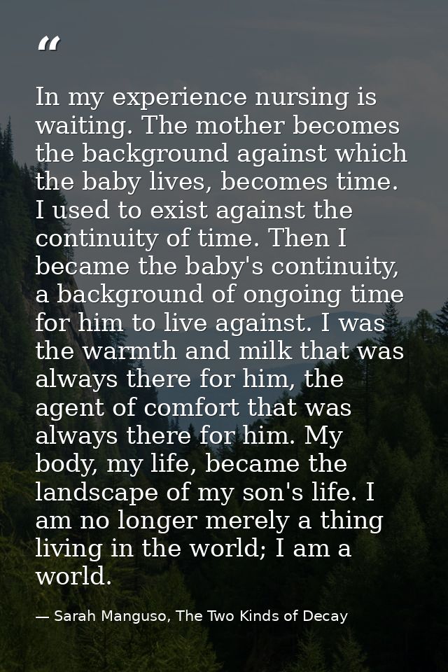 In my experience nursing is waiting. The mother becomes the background against which the baby lives, becomes time. I use — Sarah Manguso, The Two Kinds of Decay