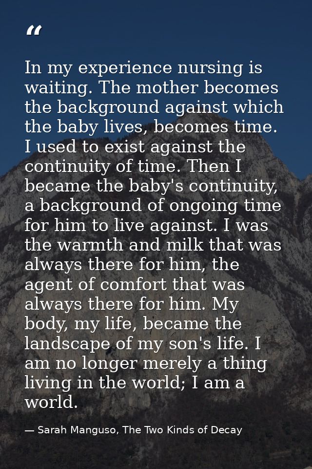 In my experience nursing is waiting. The mother becomes the background against which the baby lives, becomes time. I use — Sarah Manguso, The Two Kinds of Decay