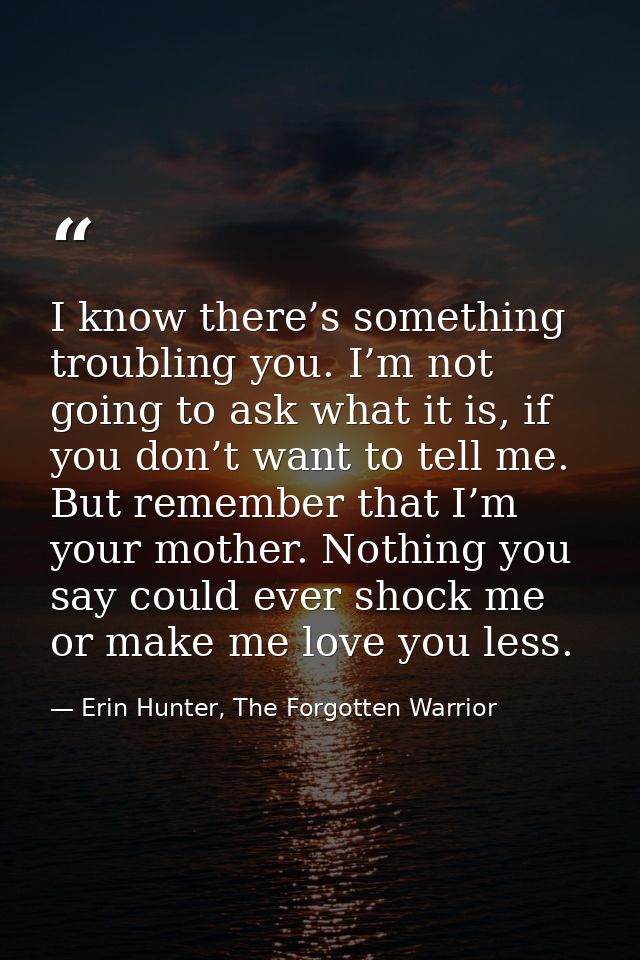 I know there’s something troubling you. I’m not going to ask what it is, if you don’t want to tell me. But remember that — Erin Hunter, The Forgotten Warrior