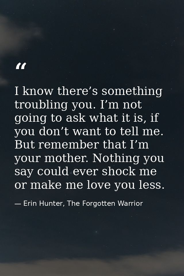 I know there’s something troubling you. I’m not going to ask what it is, if you don’t want to tell me. But remember that — Erin Hunter, The Forgotten Warrior