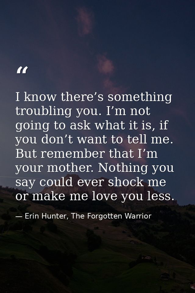 I know there’s something troubling you. I’m not going to ask what it is, if you don’t want to tell me. But remember that — Erin Hunter, The Forgotten Warrior