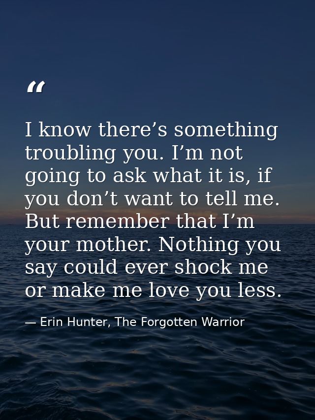 I know there’s something troubling you. I’m not going to ask what it is, if you don’t want to tell me. But remember that — Erin Hunter, The Forgotten Warrior