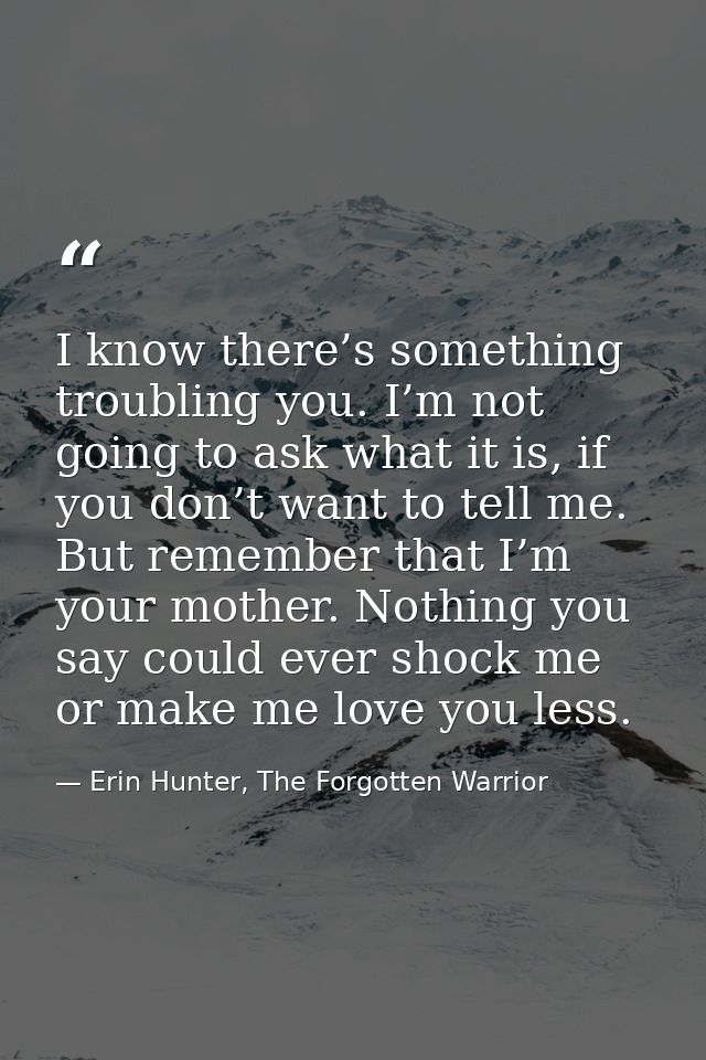 I know there’s something troubling you. I’m not going to ask what it is, if you don’t want to tell me. But remember that — Erin Hunter, The Forgotten Warrior