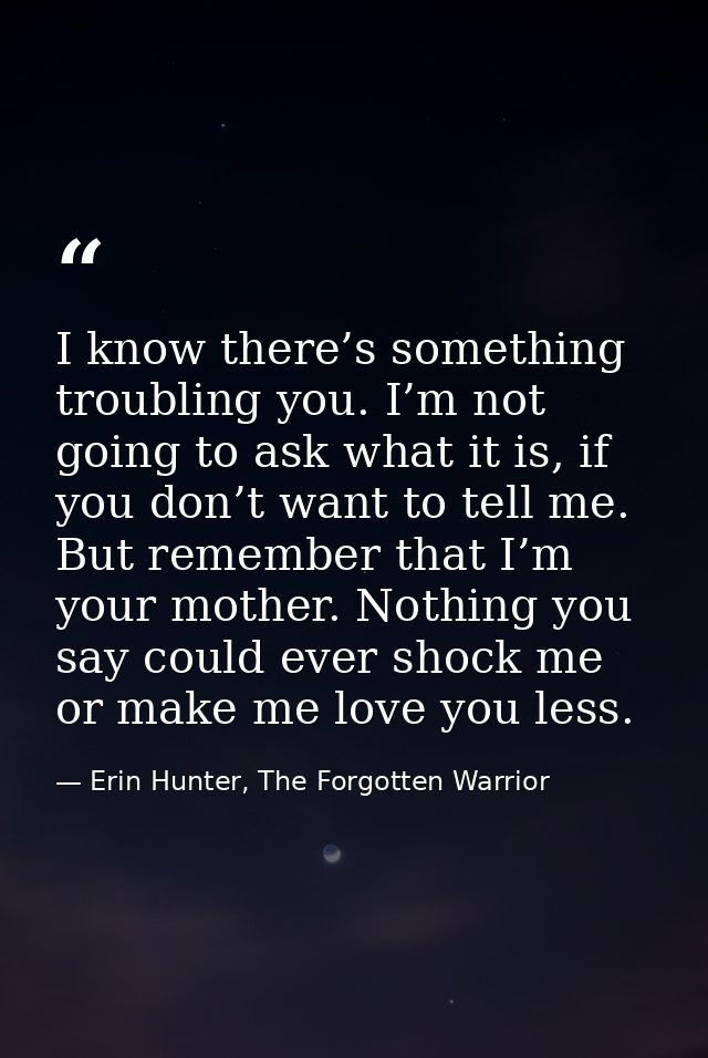 I know there’s something troubling you. I’m not going to ask what it is, if you don’t want to tell me. But remember that — Erin Hunter, The Forgotten Warrior