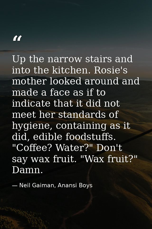 Up the narrow stairs and into the kitchen. Rosie's mother looked around and made a face as if to indicate that it did no — Neil Gaiman, Anansi Boys