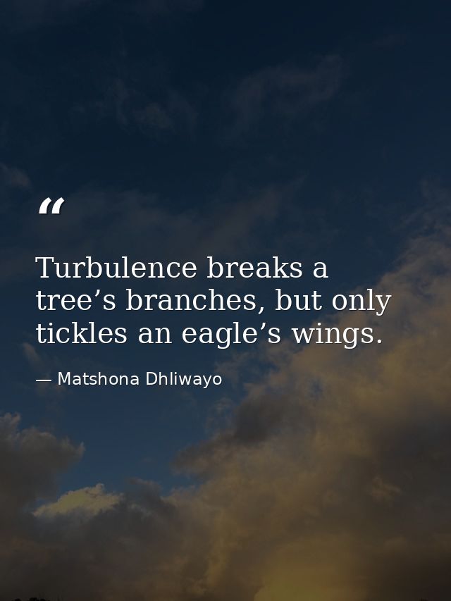 Turbulence breaks a tree’s branches, but only tickles an eagle’s wings. — Matshona Dhliwayo