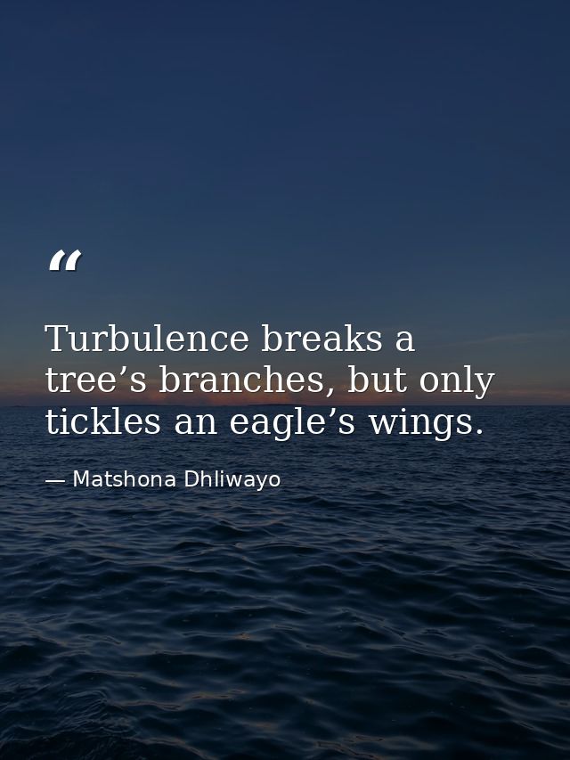 Turbulence breaks a tree’s branches, but only tickles an eagle’s wings. — Matshona Dhliwayo