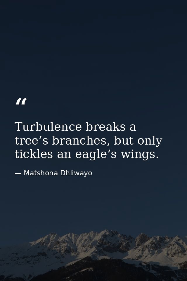 Turbulence breaks a tree’s branches, but only tickles an eagle’s wings. — Matshona Dhliwayo