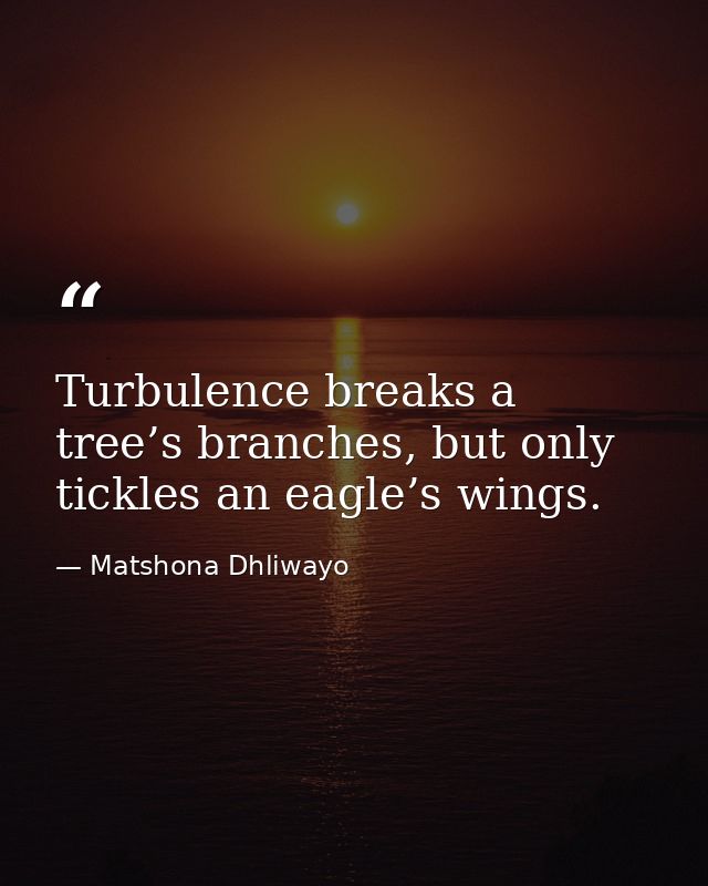 Turbulence breaks a tree’s branches, but only tickles an eagle’s wings. — Matshona Dhliwayo