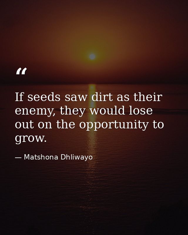 If seeds saw dirt as their enemy, they would lose out on the opportunity to grow. — Matshona Dhliwayo