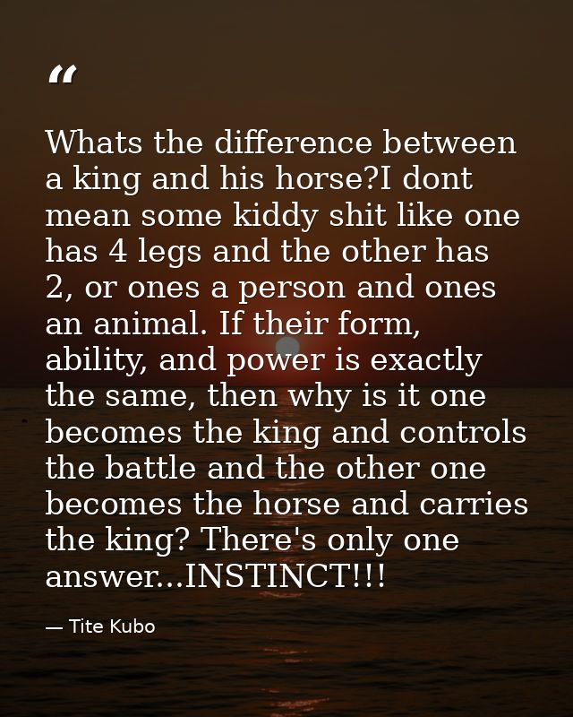 Whats the difference between a king and his horse?I dont mean some kiddy shit like one has 4 legs and the other has 2, o — Tite Kubo