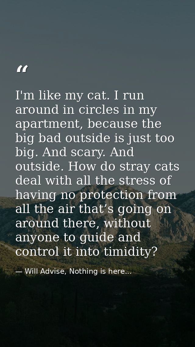 I'm like my cat. I run around in circles in my apartment, because the big bad outside is just too big. And scary. And ou — Will Advise, Nothing is here...