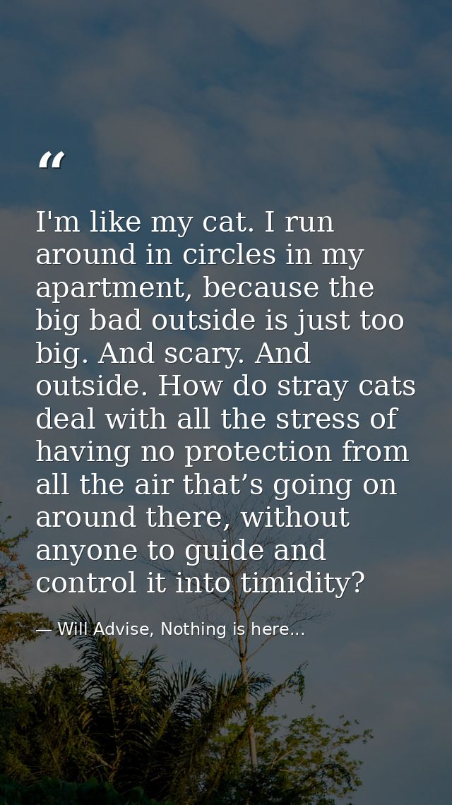 I'm like my cat. I run around in circles in my apartment, because the big bad outside is just too big. And scary. And ou — Will Advise, Nothing is here...