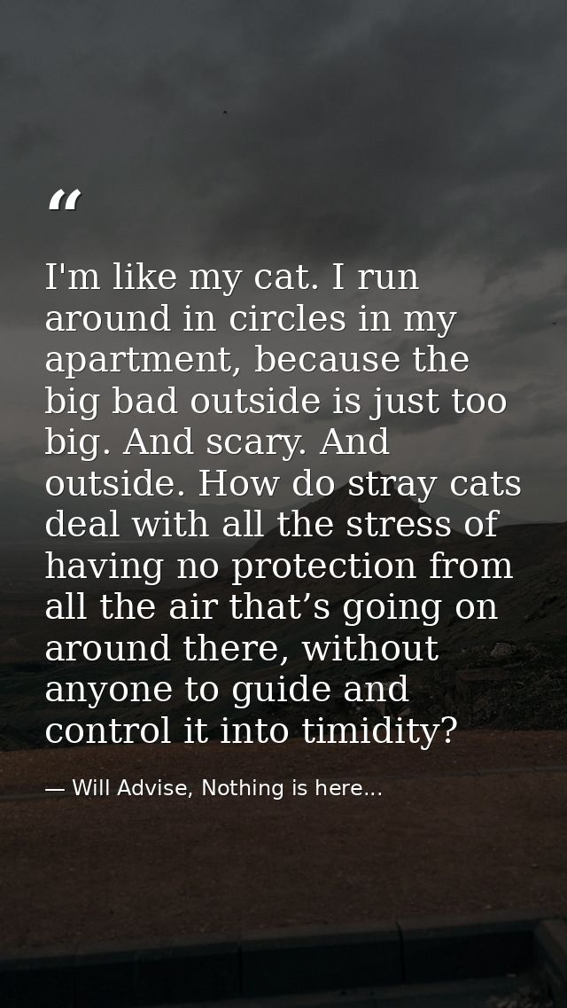 I'm like my cat. I run around in circles in my apartment, because the big bad outside is just too big. And scary. And ou — Will Advise, Nothing is here...