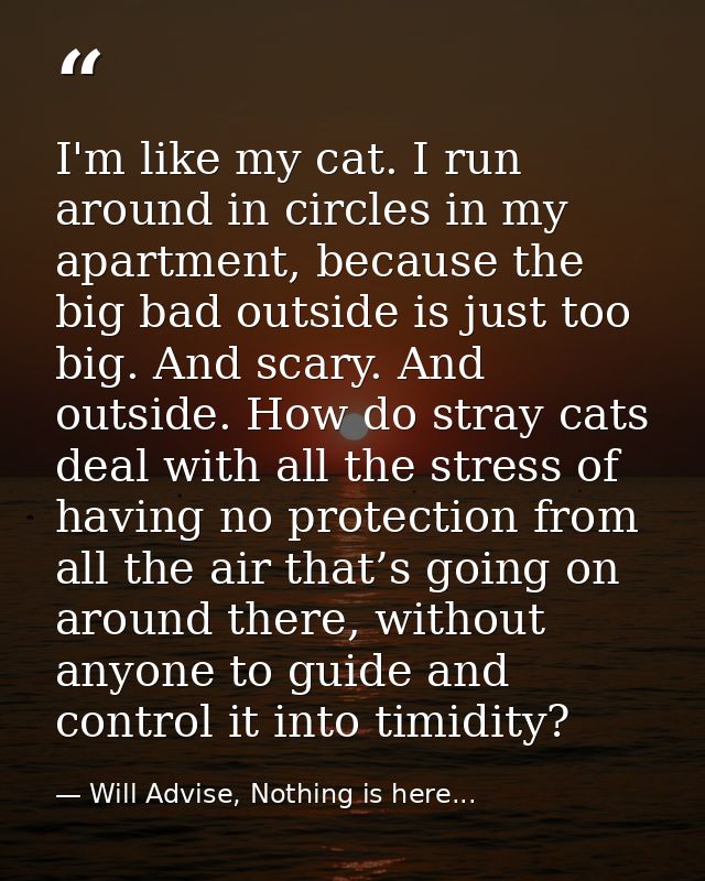 I'm like my cat. I run around in circles in my apartment, because the big bad outside is just too big. And scary. And ou — Will Advise, Nothing is here...