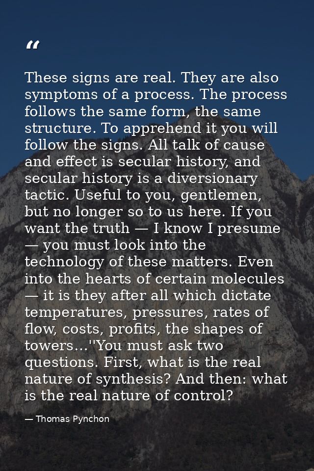 These signs are real. They are also symptoms of a process. The process follows the same form, the same structure. To app — Thomas Pynchon