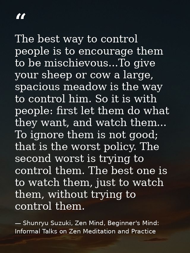 The best way to control people is to encourage them to be mischievous...To give your sheep or cow a large, spacious mead — Shunryu Suzuki, Zen Mind, Beginner's Mind: Informal Talks on Zen Meditation and Practice