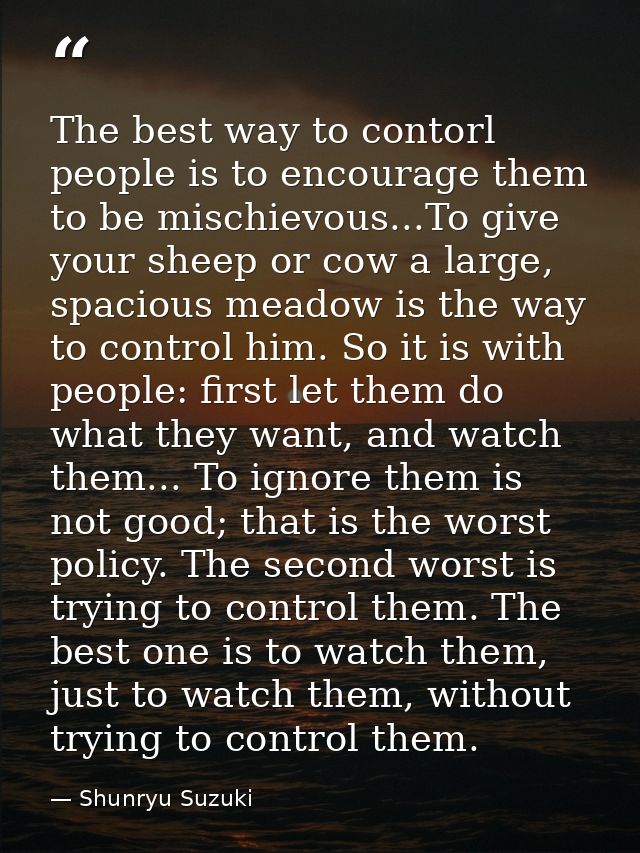 The best way to contorl people is to encourage them to be mischievous...To give your sheep or cow a large, spacious mead — Shunryu Suzuki