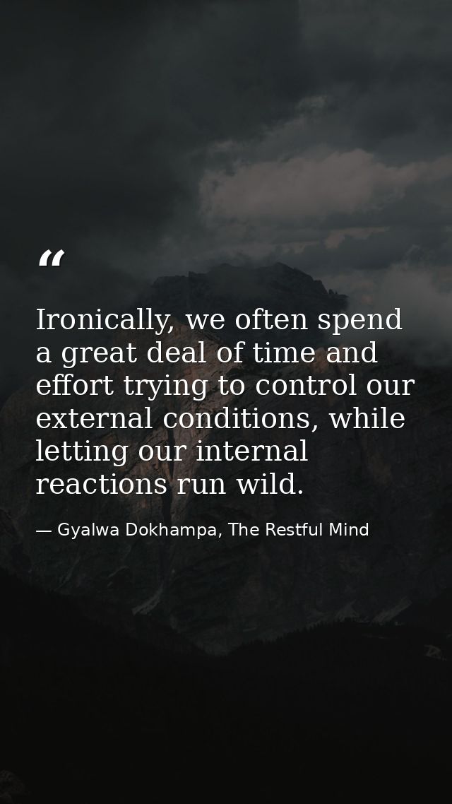 Ironically, we often spend a great deal of time and effort trying to control our external conditions, while letting our  — Gyalwa Dokhampa, The Restful Mind