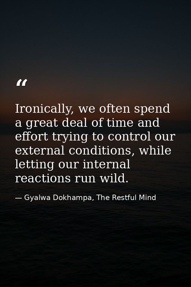 Ironically, we often spend a great deal of time and effort trying to control our external conditions, while letting our  — Gyalwa Dokhampa, The Restful Mind