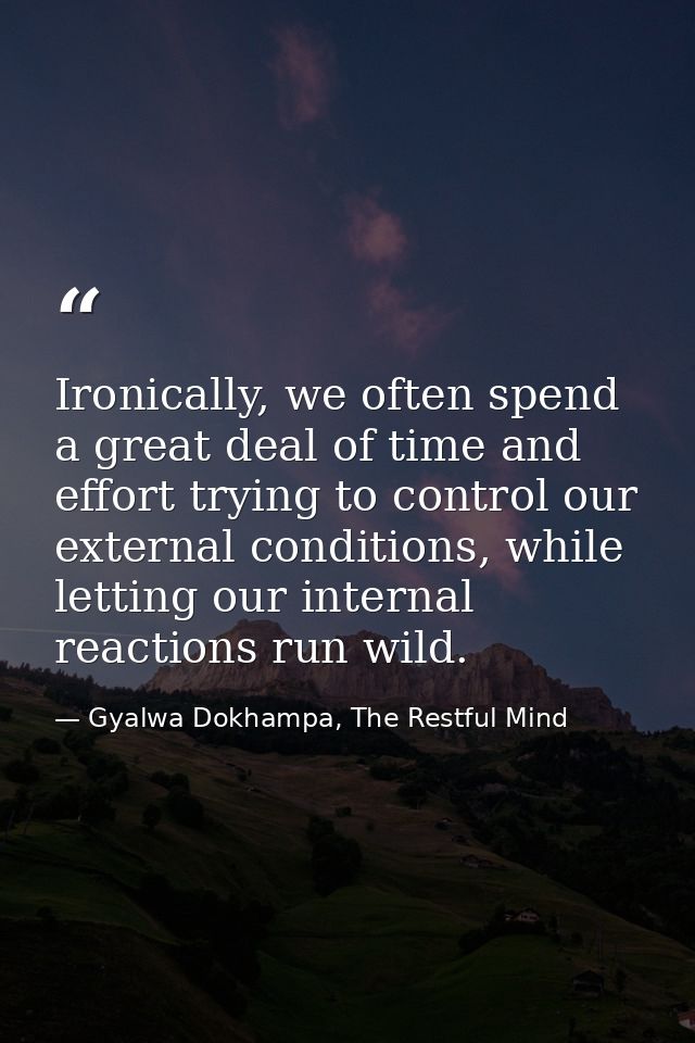 Ironically, we often spend a great deal of time and effort trying to control our external conditions, while letting our  — Gyalwa Dokhampa, The Restful Mind
