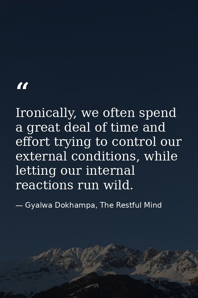 Ironically, we often spend a great deal of time and effort trying to control our external conditions, while letting our  — Gyalwa Dokhampa, The Restful Mind