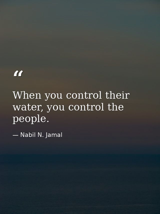 When you control their water, you control the people. — Nabil N. Jamal