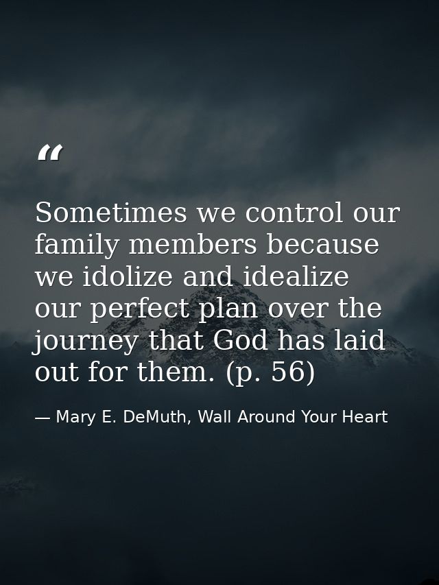 Sometimes we control our family members because we idolize and idealize our perfect plan over the journey that God has l — Mary E. DeMuth, Wall Around Your Heart