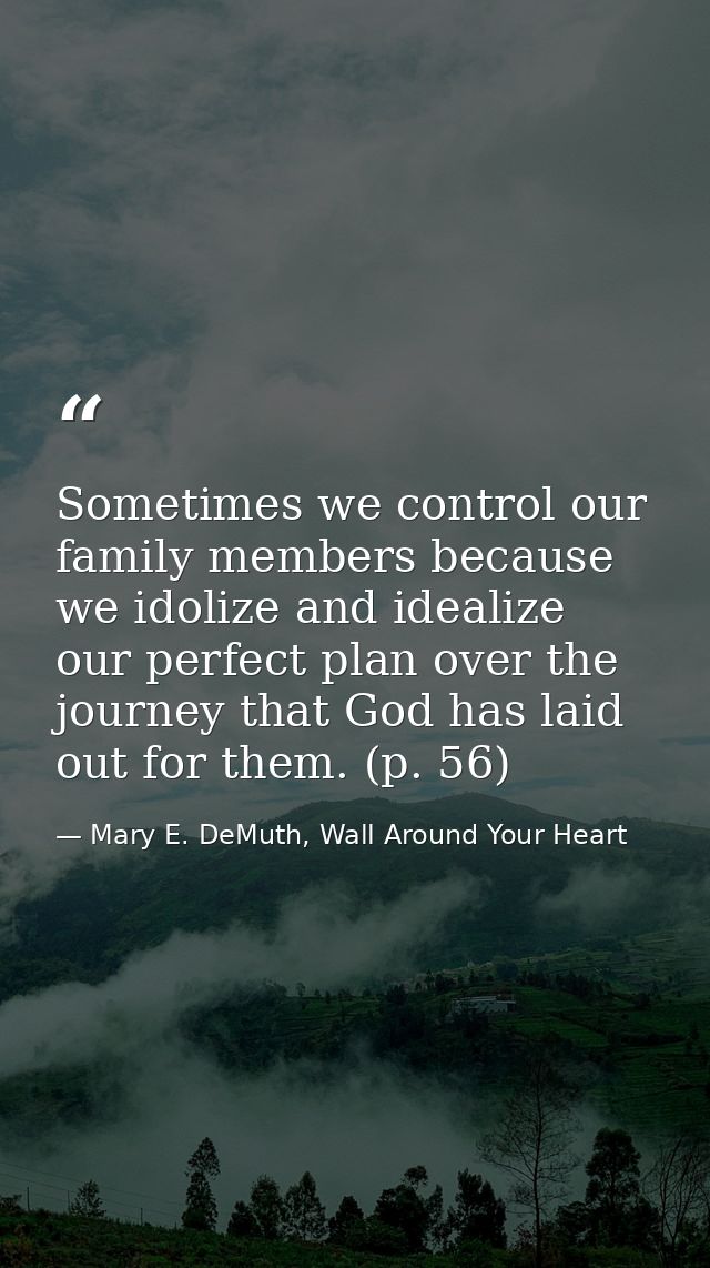 Sometimes we control our family members because we idolize and idealize our perfect plan over the journey that God has l — Mary E. DeMuth, Wall Around Your Heart