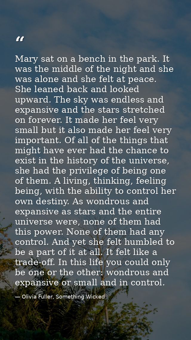 Mary sat on a bench in the park. It was the middle of the night and she was alone and she felt at peace. She leaned back — Olivia Fuller, Something Wicked