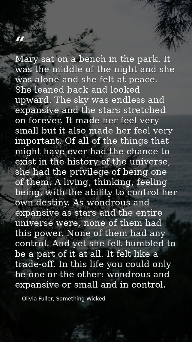 Mary sat on a bench in the park. It was the middle of the night and she was alone and she felt at peace. She leaned back — Olivia Fuller, Something Wicked